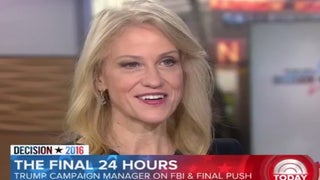 Kellyanne Conway Denies Donald Trump Has Lost Twitter Privileges (Video)