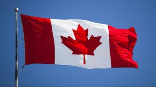 Donald Trump’s Election Lead Crashes Canadian Immigration Site