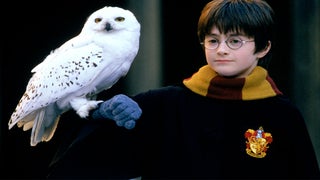 There Are Actually Two Harry Potters, J.K. Rowling Reveals