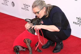 Carrie Fisher’s Daughter Celebrate’s Gary the Dog’s Birthday in Best Way Possible (Video)