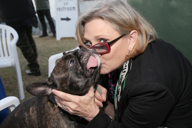 Risultati immagini per carrie fisher dog mourn