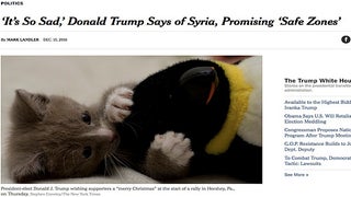 Google Chrome Wants to ‘Make America Kitten Again’