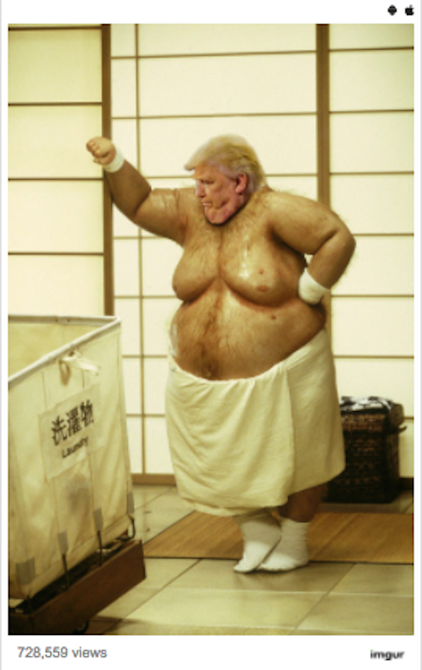 Donald Trump meme