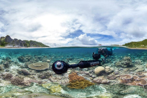 sundance 2017 chasing coral