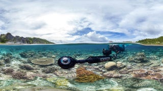 ‘Chasing Coral’ Producer Warns of Major Consequences as Reefs Approach Extinction (Video)