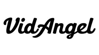 Hollywood Studios Win Injunction Against Streaming Service VidAngel