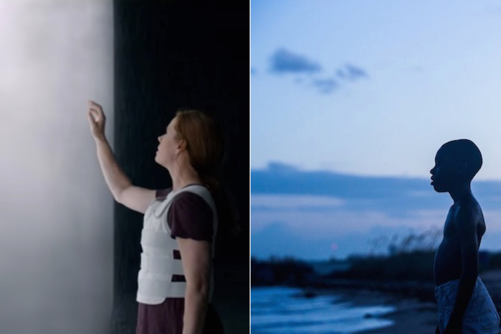Arrival Moonlight
