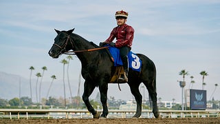 UFC Fighter Conor McGregor Eyes New Career as a Jockey (Video)
