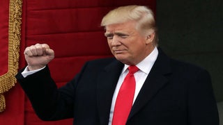 What is a ‘Shit-Gibbon?’ Politicians’s Tweet Insulting Trump Raises Question