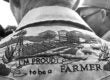 wendell berry look and see