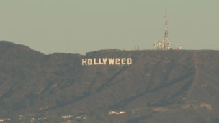 LA’s ‘Hollyweed’ Dispensary Had ‘Nothing to Do’ With Hollywood Sign Vandalism