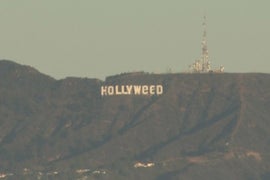 LA’s ‘Hollyweed’ Dispensary Had ‘Nothing to Do’ With Hollywood Sign Vandalism