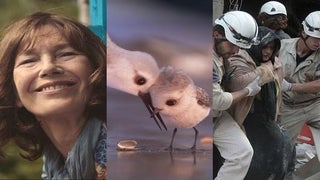Oscars 2017: Your Guide to This Year’s Nominated Short Films (Photos)