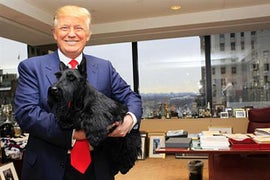 Westminster Winner’s Traditional Visit With Trump May Have Gone to the Dogs