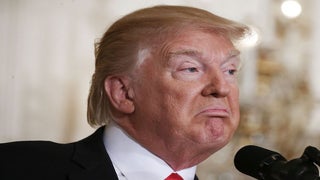 Trump’s International Women’s Day Tweet Grabs Internet by the Genitals