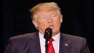 Trump Mocks ‘Celebrity Apprentice’ at National Prayer Breakfast: ‘Pray for Arnold’ (Video)