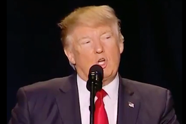 Trump Mocks ‘Celebrity Apprentice’ at National Prayer Breakfast: ‘Pray for Arnold’ (Video)