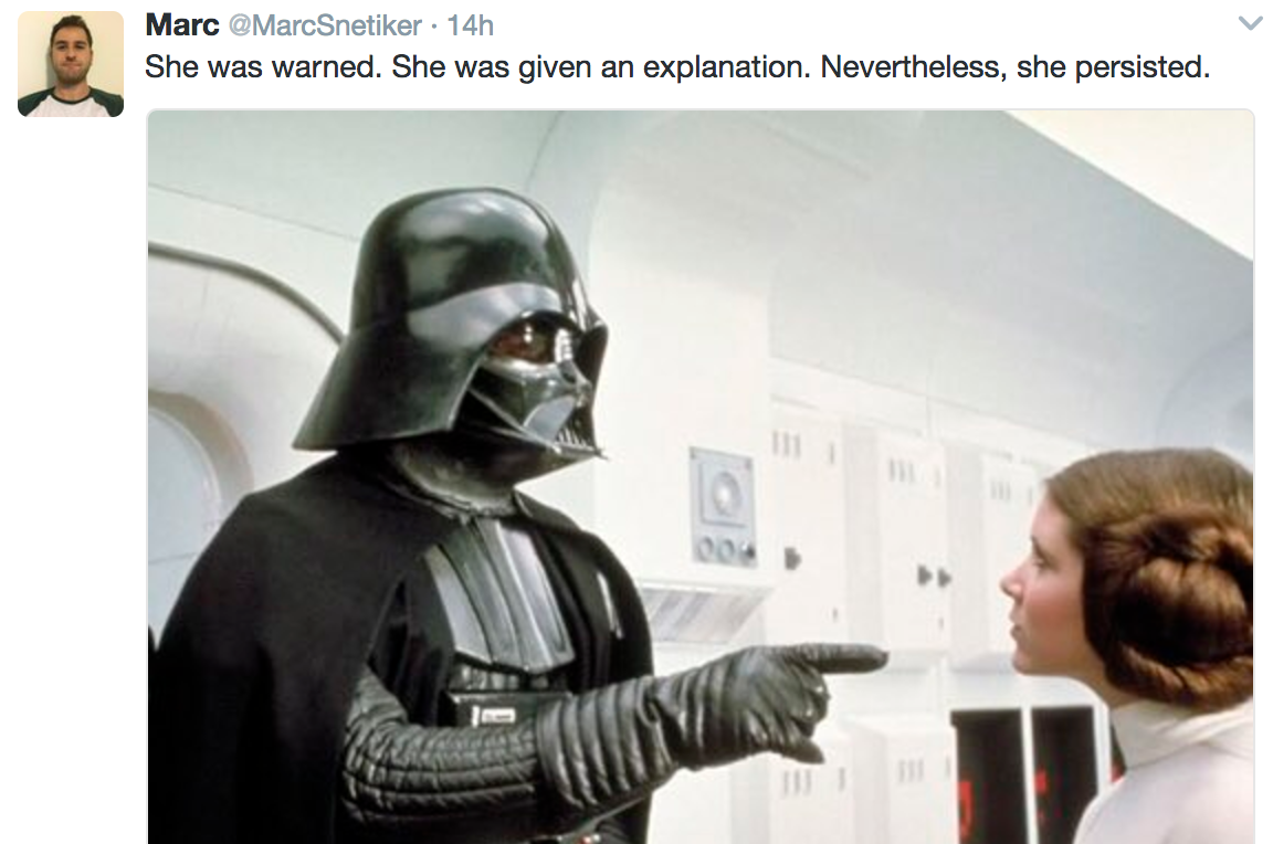 Princess Leia She Persisted