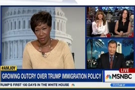 MSNBC Host Joy Reid Cuts Off Ex-Congressman After ‘Offensive’ Immigration Talk (Video)