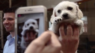 Animal Planet’s Puppy Bowl Expert Shares the History of All That Cuteness (Exclusive Video)
