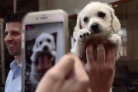 Animal Planet’s Puppy Bowl Expert Shares the History of All That Cuteness (Exclusive Video)