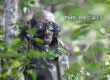 Wesley Snipes VR