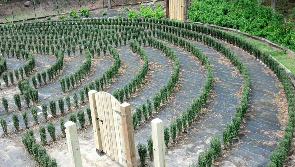 s-town maze 3