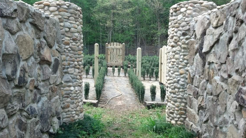 maze s-town 2