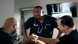 ‘The Vet Life’ Renewed by Animal Planet for Season 2 – Watch a Teaser (Exclusive)