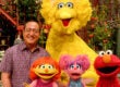 Sesame Street Julia