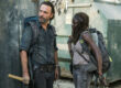 the walking dead rick michonne