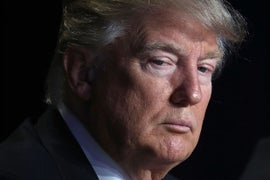 Donald Trump’s Modeling Agency Is Shutting Down, Leaked Emails Reveal