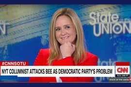 Samantha Bee Shoots Down Jake Tapper’s Question ‘How Does It Feel To Be the Face of the Problem?’ (Video)