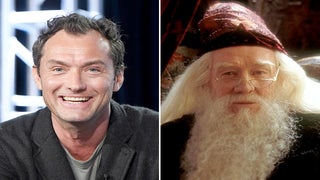 Will Jude Law’s Dumbledore Be Openly Gay in ‘Fantastic Beasts’ Sequel? Twitter Sure Hopes So