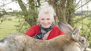 United’s Latest Controversy: Giant Rabbit Dies on Flight in ‘Strange’ Circumstances