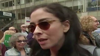 Hollywood Stars Show Support for Tax March Protests