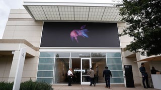 Drone Video Offers Peek at Steve Jobs Theater on New Apple HQ