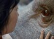 Okja