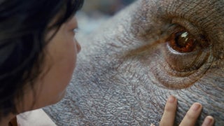How ‘Okja’ Helped Netflix Corral New South Korean Subscribers