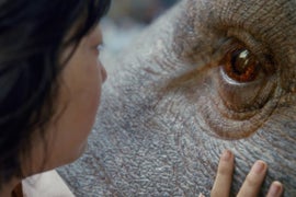 How ‘Okja’ Helped Netflix Corral New South Korean Subscribers
