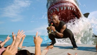 Watch Seal Get Swallowed Whole by Giant Shark (Video)