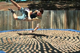 Watch This Idiot Dive Into 1,000 Mousetraps in Super Slow-Motion (Video)