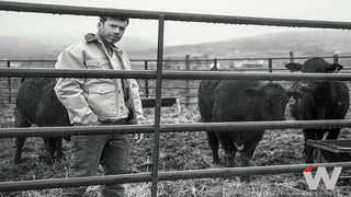 Taylor Sheridan Sets 2nd ‘Yellowstone’ Spinoff – and Another Show That Sounds Like ‘Yellowstone’ – at Paramount+