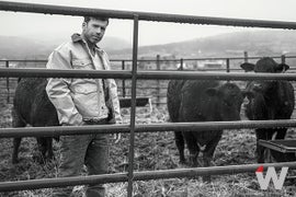 Taylor Sheridan Sets 2nd ‘Yellowstone’ Spinoff – and Another Show That Sounds Like ‘Yellowstone’ – at Paramount+