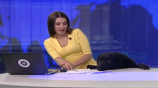 Adorable Dog Interrupts Live Russian TV News Broadcast in Now-Viral Moment (Video)