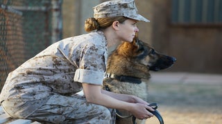 ‘Megan Leavey’ Review: Kate Mara Is Semper Fi for Man’s Best Friend