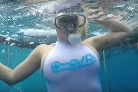 Diver Says He Knows Video of Shark Attacking Porn Model Is Fake