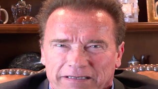 Arnold Schwarzenegger Torches Trump Over Paris Accord Pullout: ‘The People Will Rise Up’ (Video)