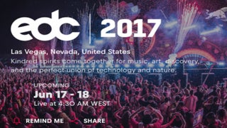 Electric Daisy Carnival 2017 Livestream: Watch Tiësto, Major Lazer and More Performances Here