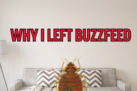 BuzzFeed NYC Office Has Bed Bugs – and Staff’s Response Is Hilarious